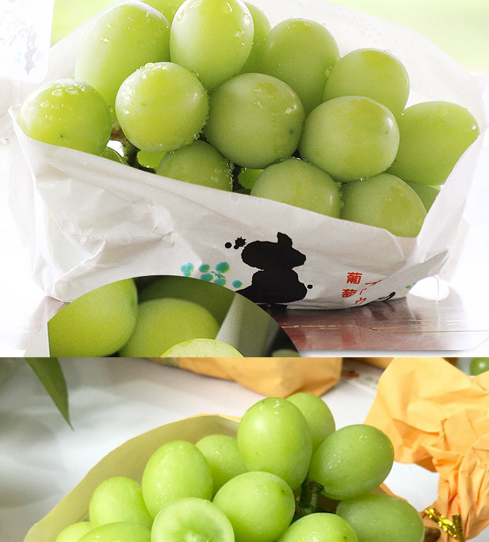 本地晴王，颗颗饱满，咬下爆汁，玫瑰香与甜蜜在舌尖共舞