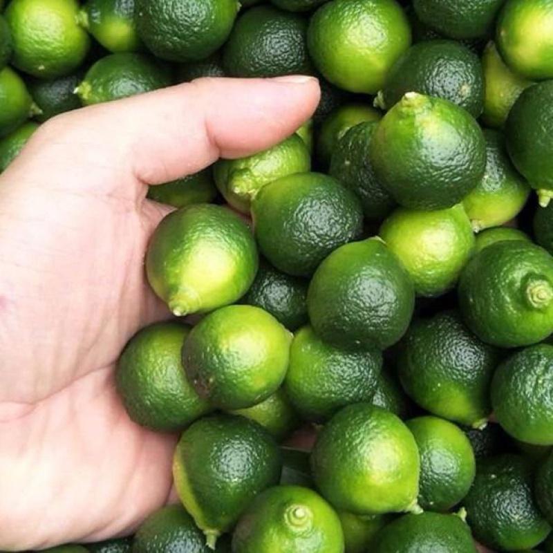 青金桔！小巧圆润，酸甜多汁，清新爽口，随身携带的维C小宝藏